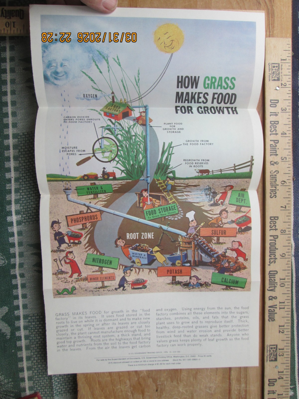 grass Makes it own food US Dept of Agriculture Bulletin no. 223 brochure 1976