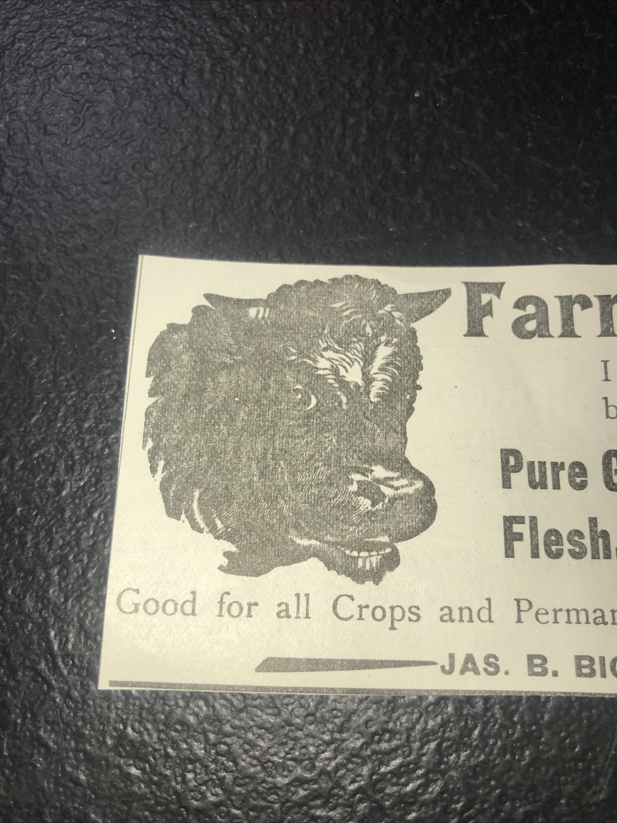 1900 Cow Farm Fertilizer Advertising – Richmond – Virginia