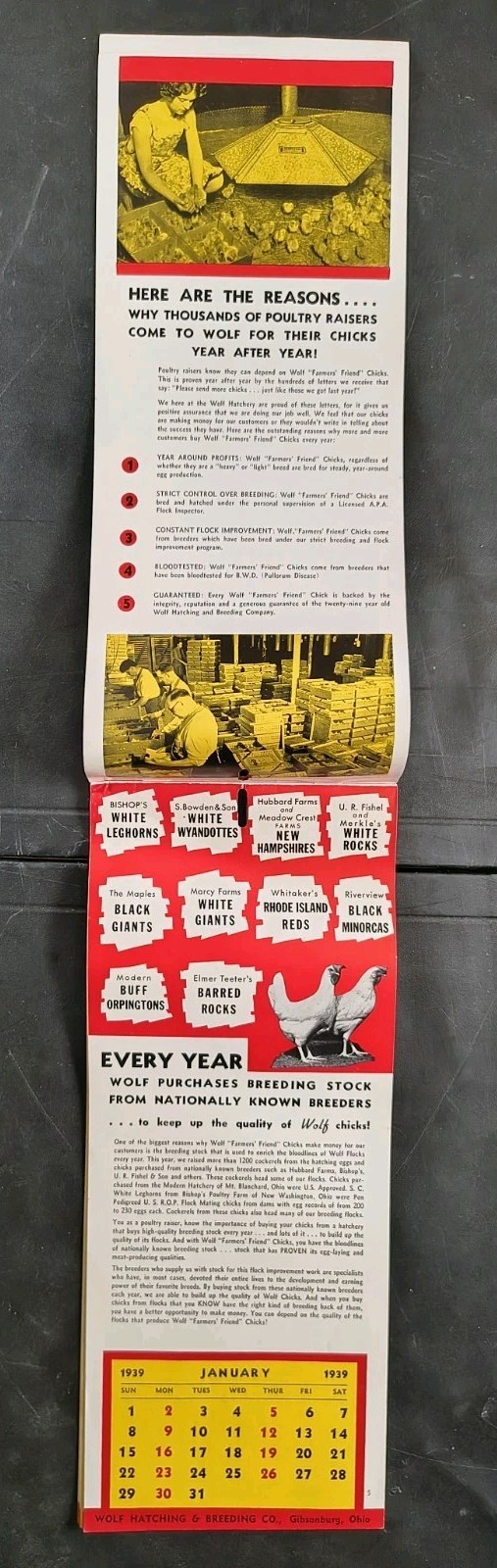 1939 Wolf Baby Chicks Catalog Calendar Sale Brochure Chicken Farming Advertising