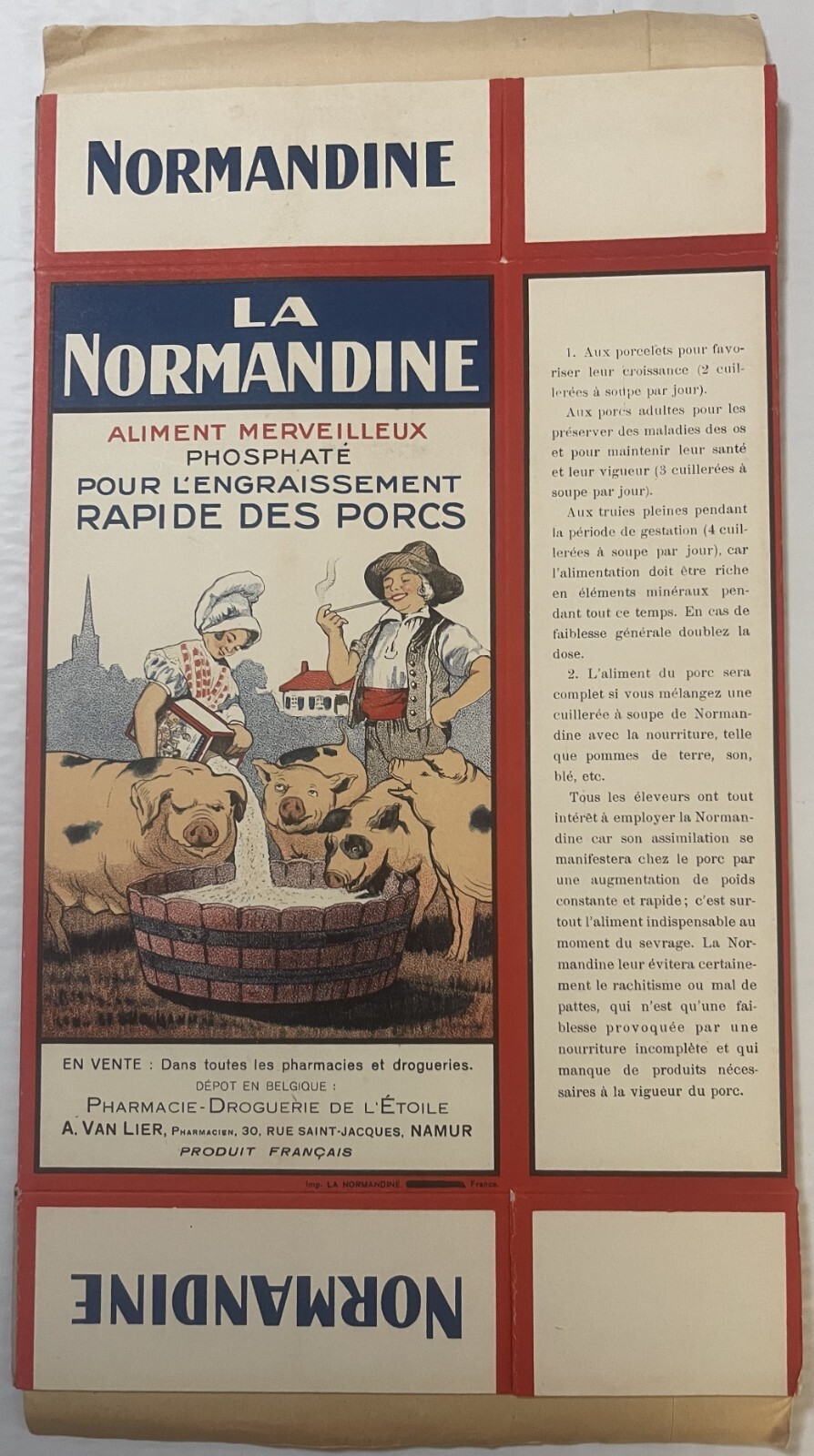 Rare Large Antique Vintage 1910s Normandine Pig Medicine Box, Farm Decor!