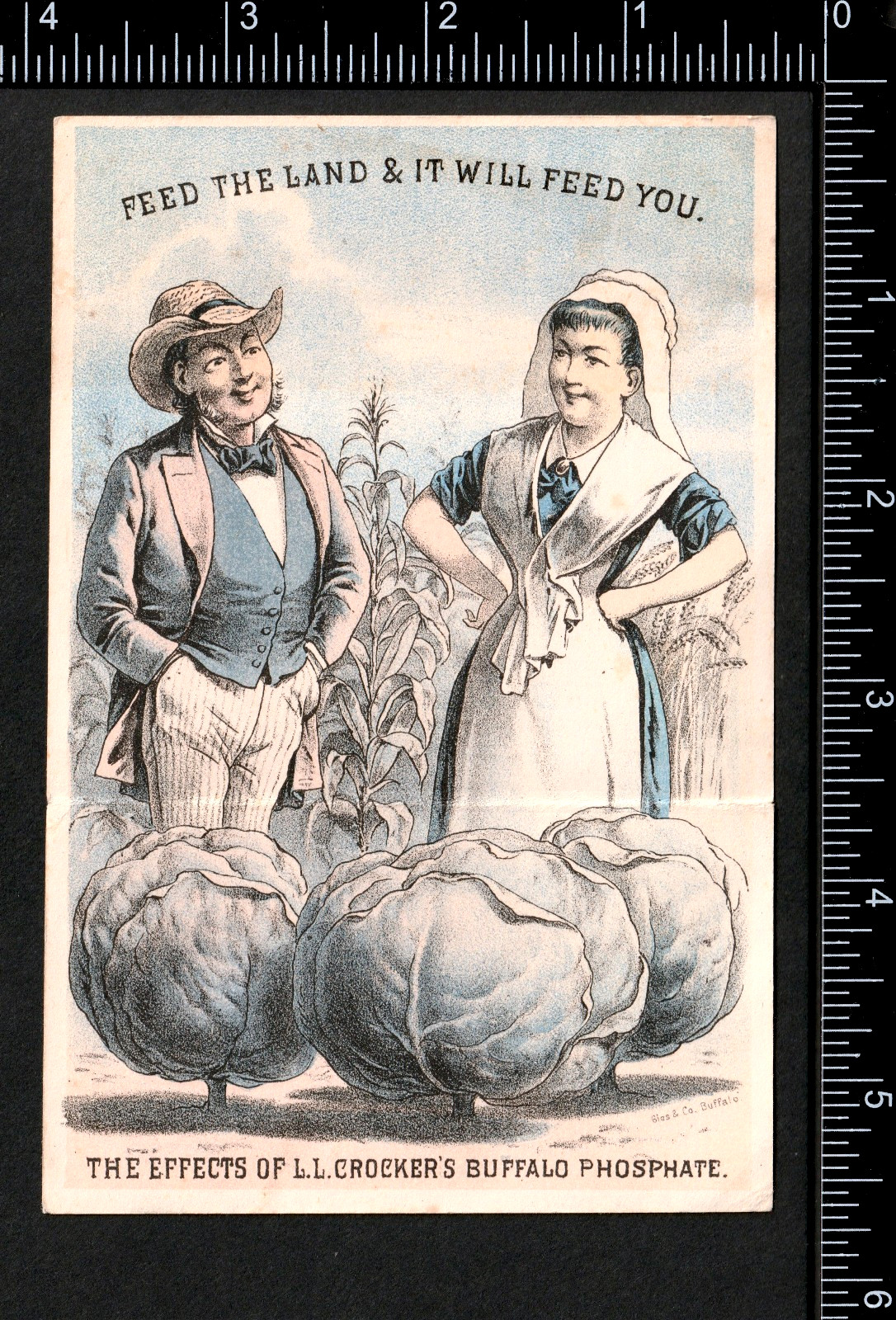 Fantasy Farm Buffalo Bone Fertilizer 1880 Calendar Victorian Trade Card SR.f.fBP
