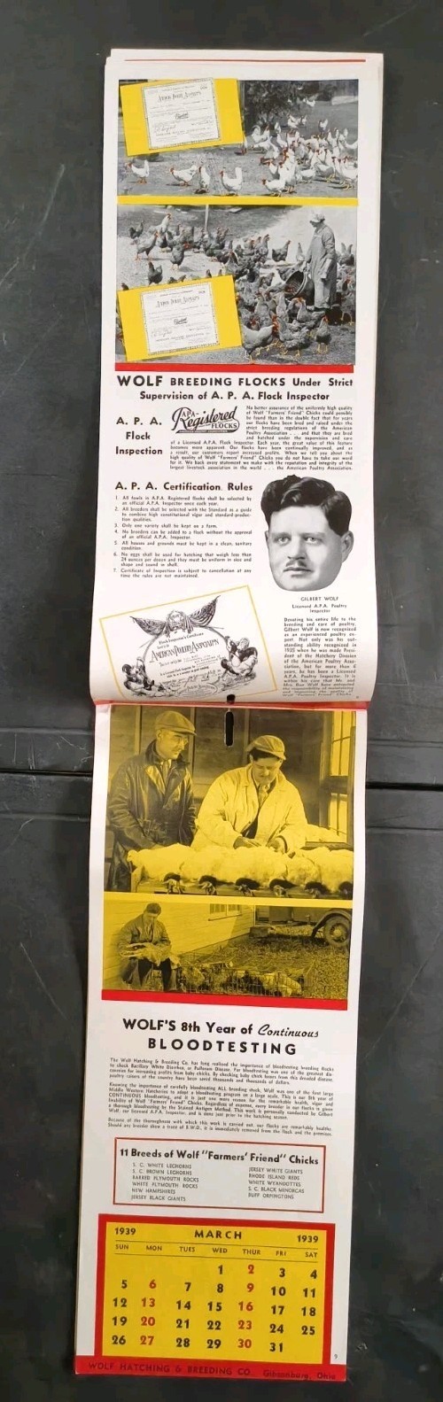 1939 Wolf Baby Chicks Catalog Calendar Sale Brochure Chicken Farming Advertising