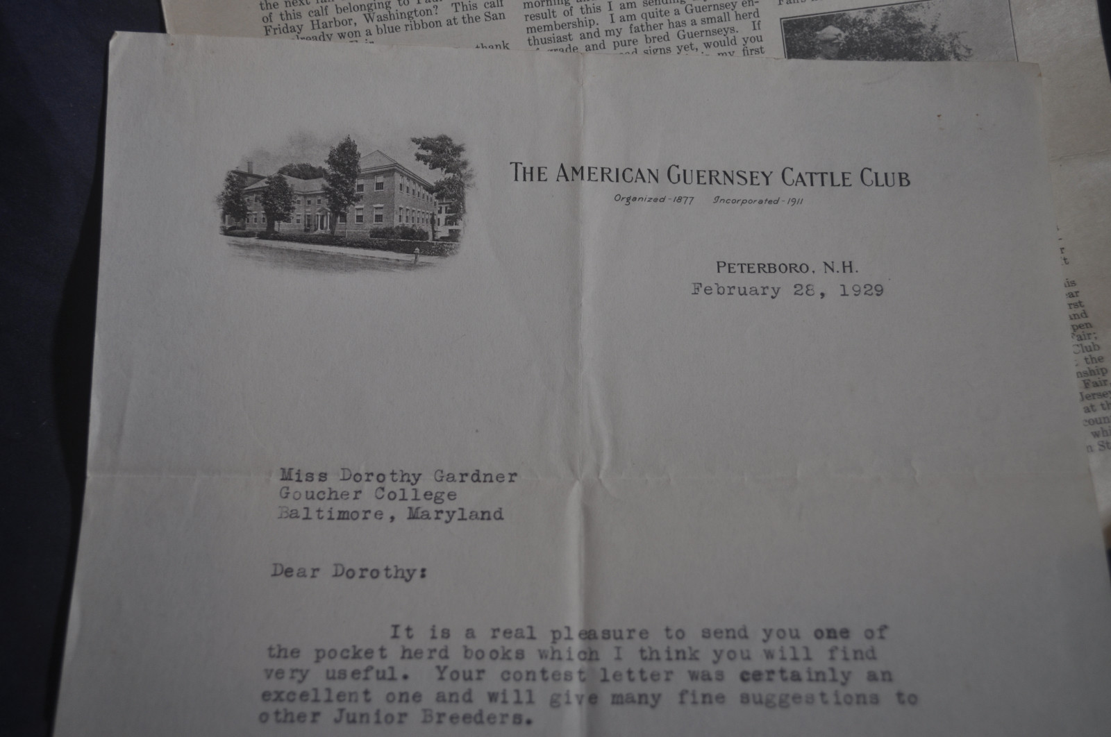 1929 American Guernsey Cattle Club Letterhead & Junior Guernsey News