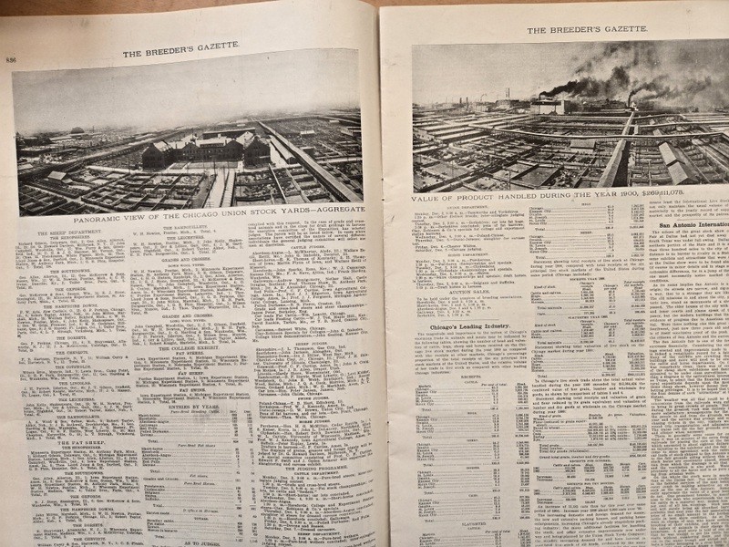 Nov 13, 1901 Breeder&rsquo;s Gazette Weekly Union Stock Yards Intl Exposition Chicago