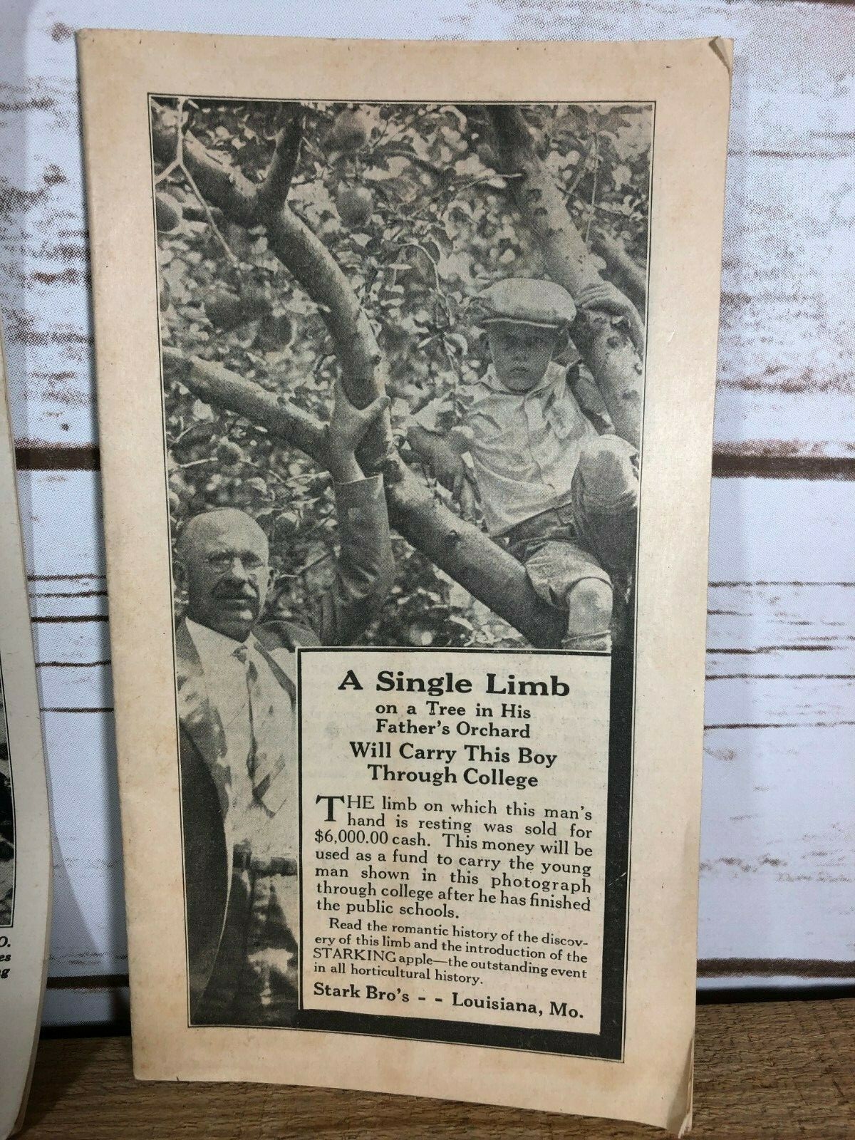 4 Vintage 1930s Stark Bro&rsquo;s Nurseries Orchard Fruit Trees Brochures Catalogs