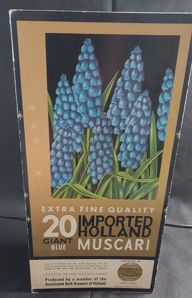 Old Advertising Promotional Folder Associated Bulb Growers Of Holland Tulips