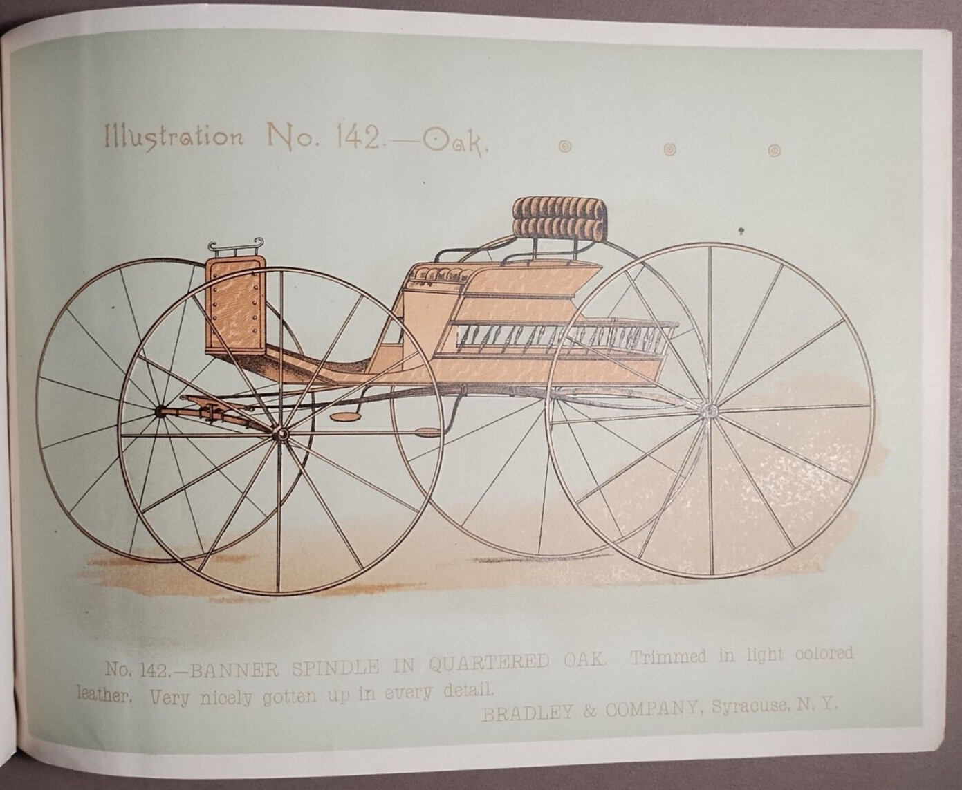 1890s Bradley & Co Syracuse Wagon Carriage Full Color Catalog Original B5-34