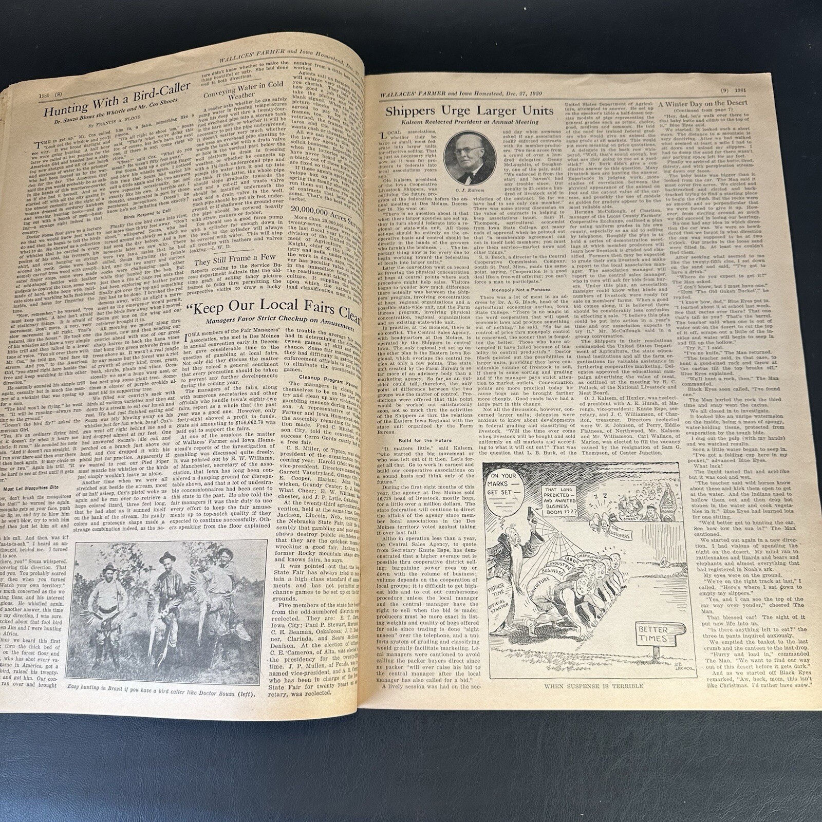 1930 WALLACES’ FARMER & IOWA HOMESTEAD Newspaper Magazine, Des Moines – Great!