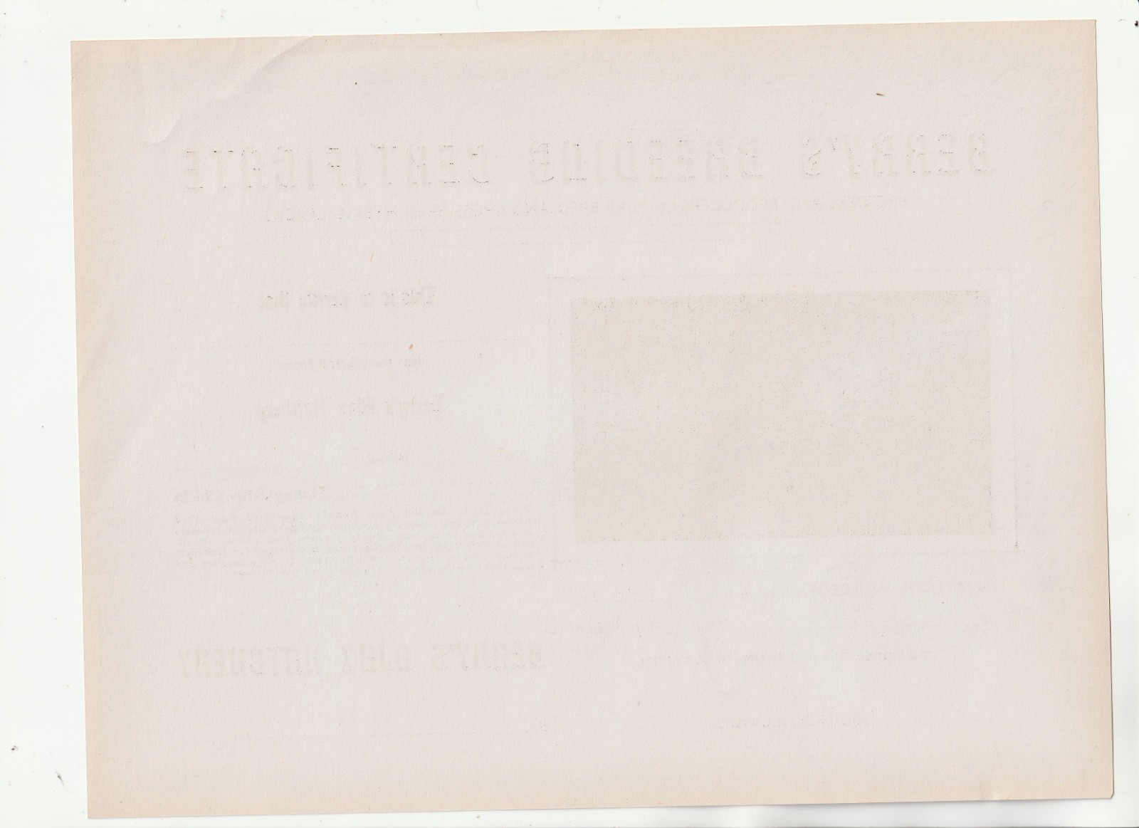 1940&rsquo;S BERRY&rsquo;S BREEDING CERTIFICATE – AJAX CHICKEN HATCHERY – QUINCY ILLINOIS