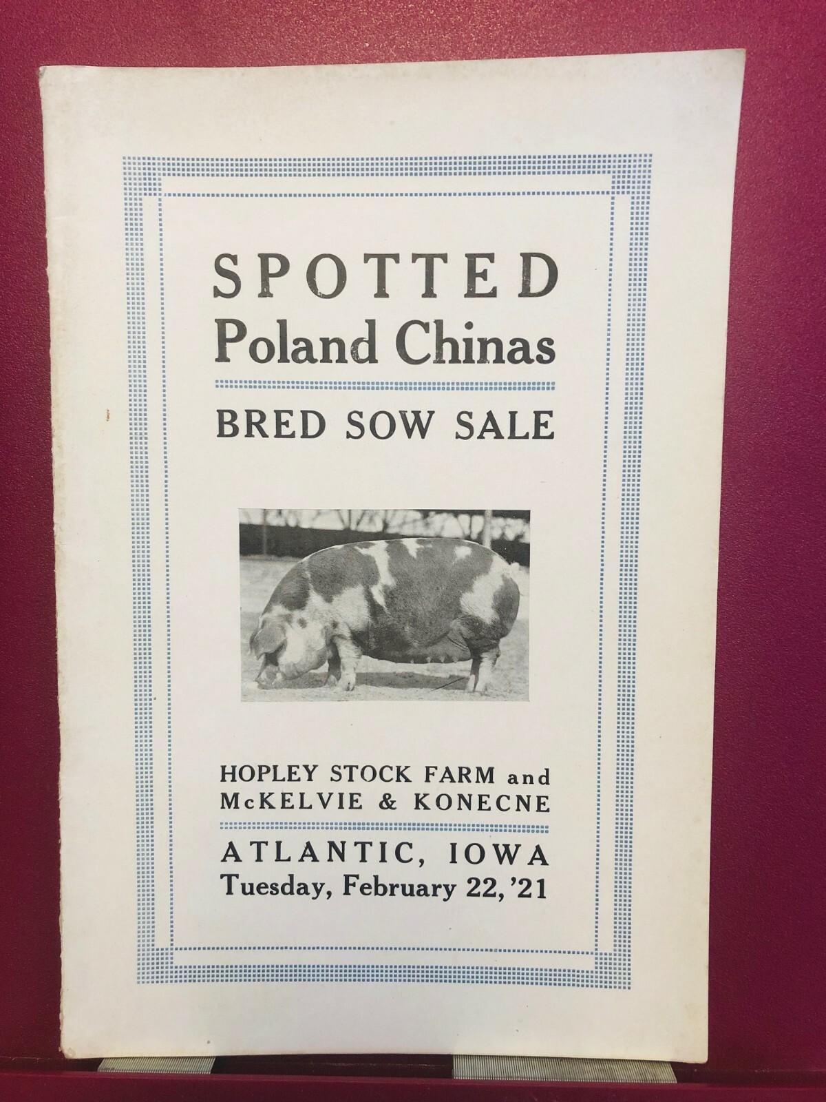 Spotted Poland China Catalog Hopley Stock Farm Mckelvie & Konecne Atlantic Iowa