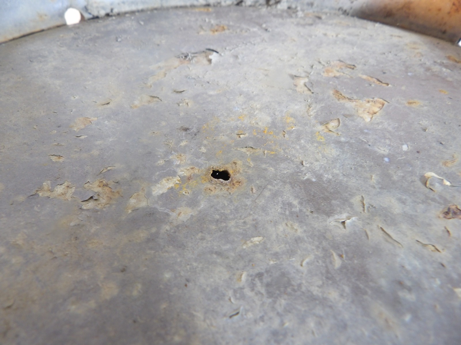 Vintage Westland Coop 5 Gallon Milk Can ( Rust hole in bottom )