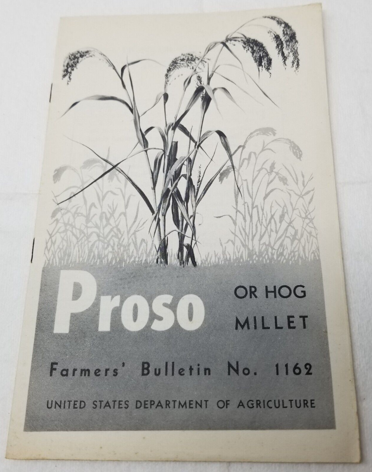 Proso Hog Millet 1937 Farmers&rsquo; Bulletin Booklet 1162 USDA Photos Charts