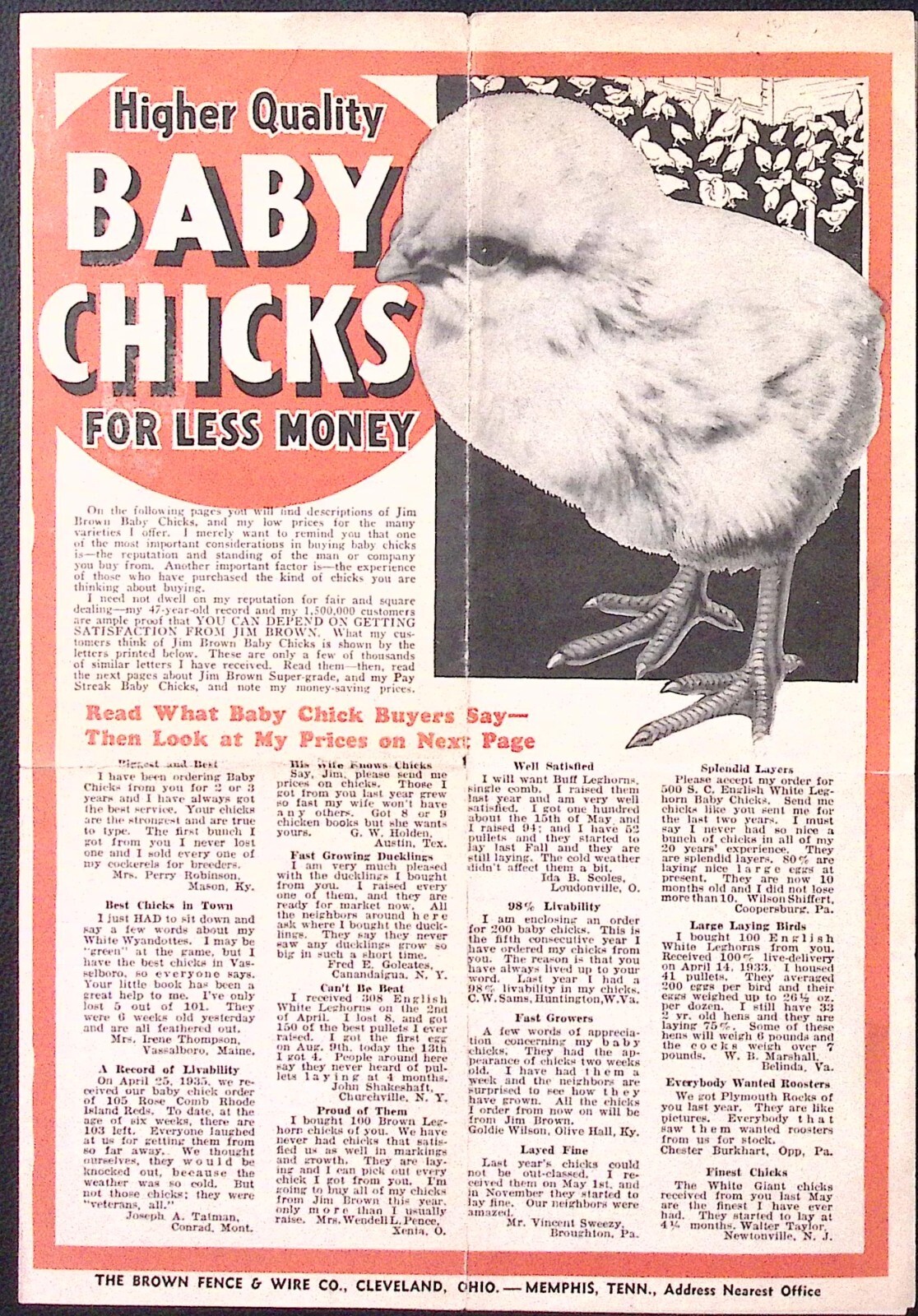 c1930s Brown Fence & Wire Co Jim Brown Pay Streak Baby Chicks Print Ad