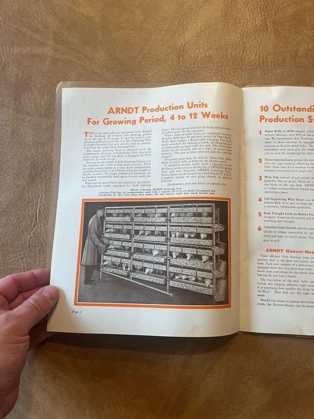 Arndt New Era System of Profitable Poultry Raising Catalog « She Will Lay » 1935