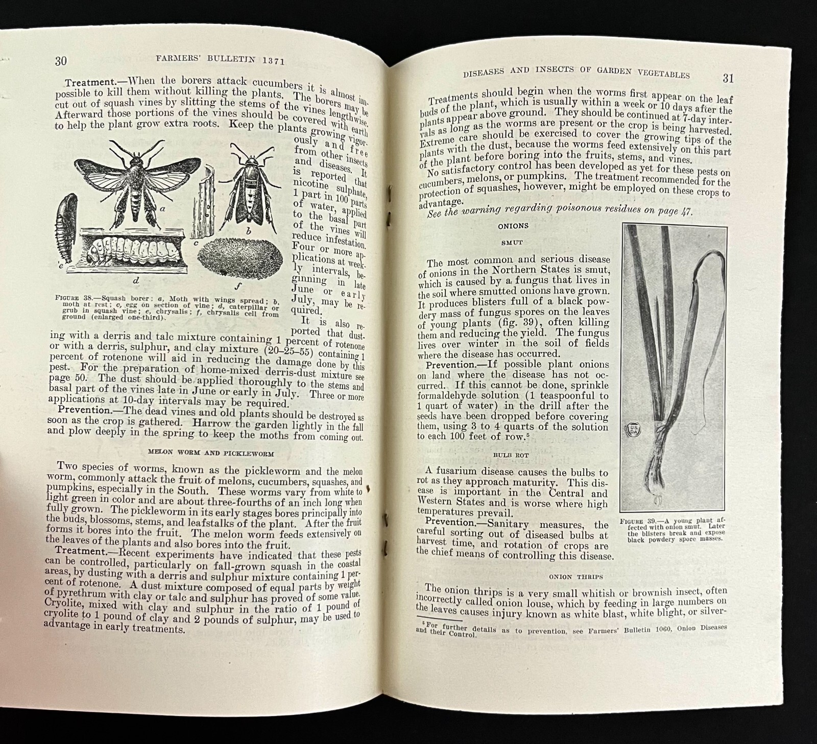 1938 Garden Vegetable Diseases Insects Great Depression Era VTG Farmers Bulletin
