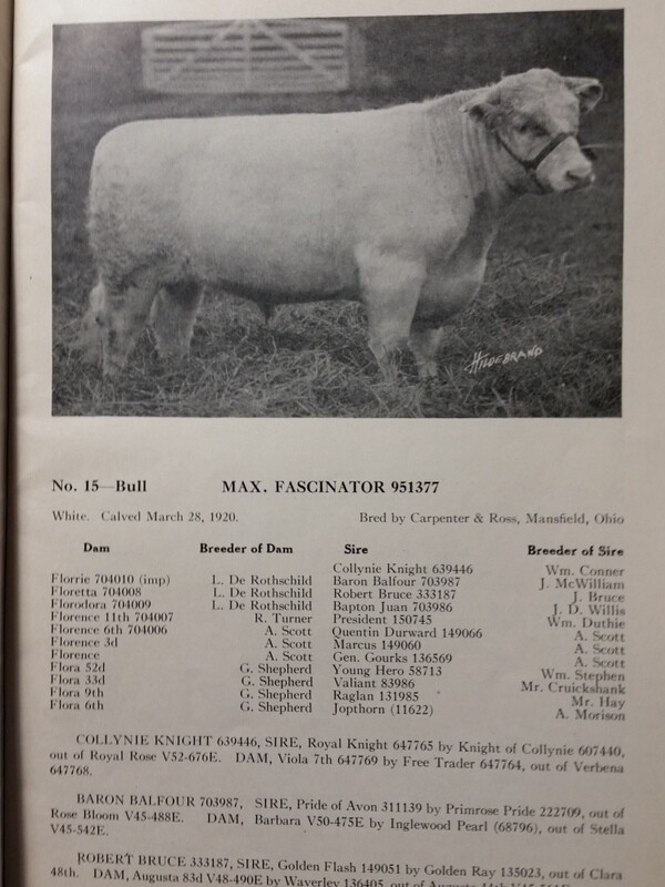 1921 Shorthorn Cattle Auction Catalog Stock Yards Chicago Carpenter & Ross OH
