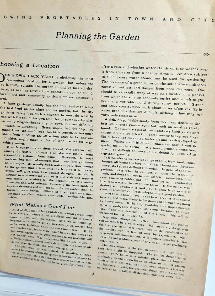1945 USDA Dept. of Agriculture Growing Vegetables In Town and City
