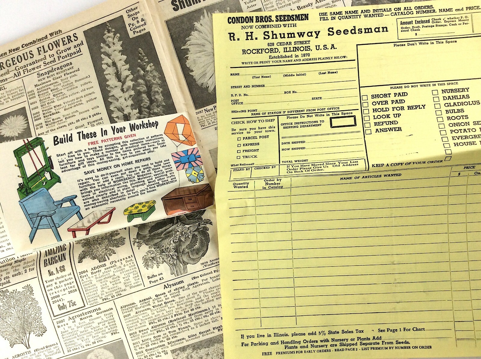 RH Shumway Seedsman Rockford Illinois 1961 Plant Garden Seed Catalog Q381