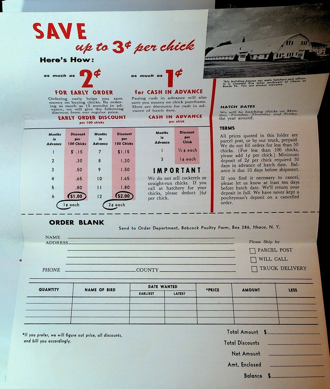 Babcock Poultry Farm 1958 Ithaca NY Ad Brochures Hens Babcock Bessies Lotties