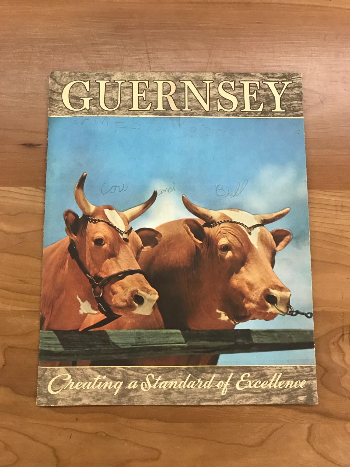 Vintage Guernsey – Creating a Standard of Excellence Brochure