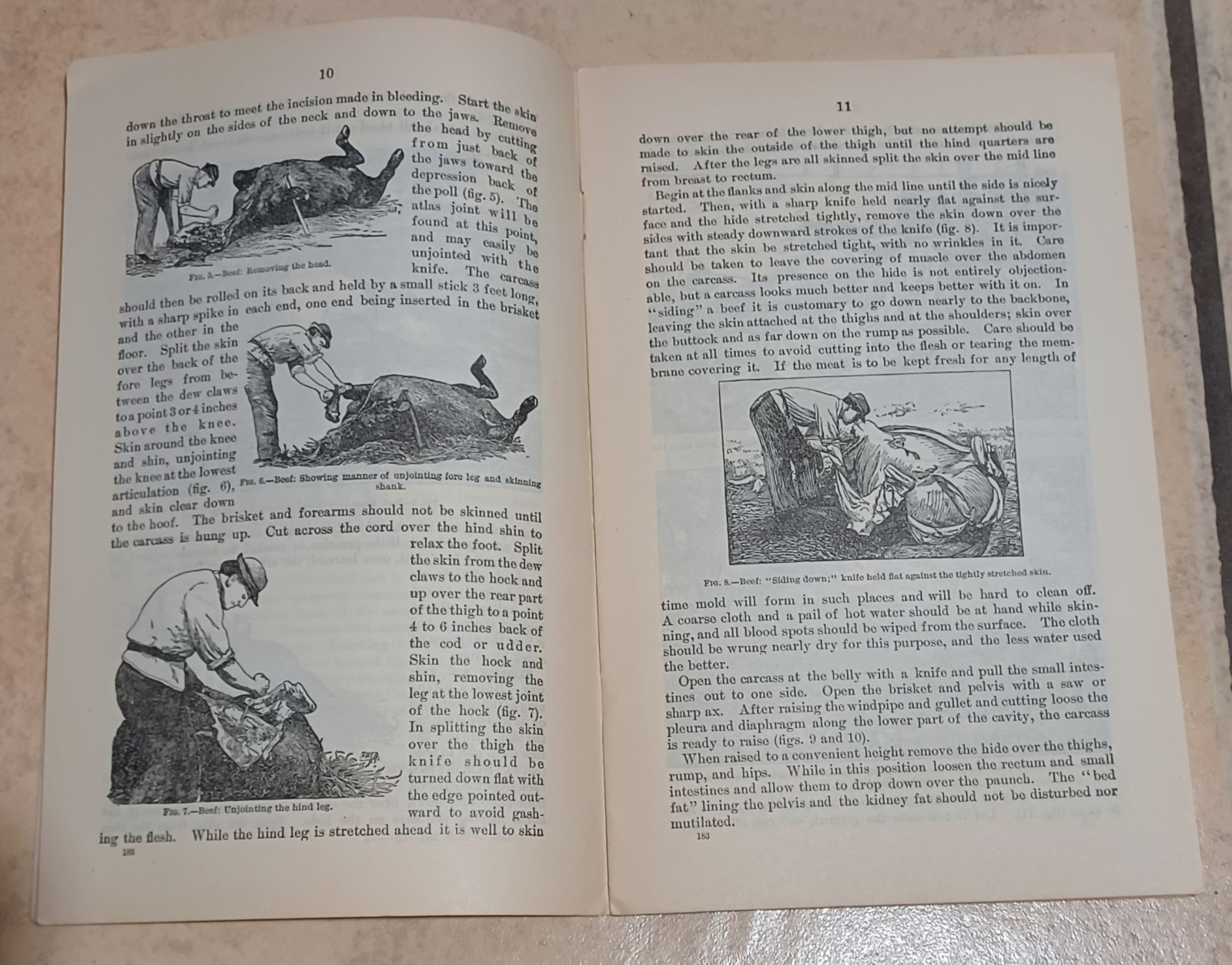 US Department Of Agriculture Meat On The Farm 1906 Pamphlet C4