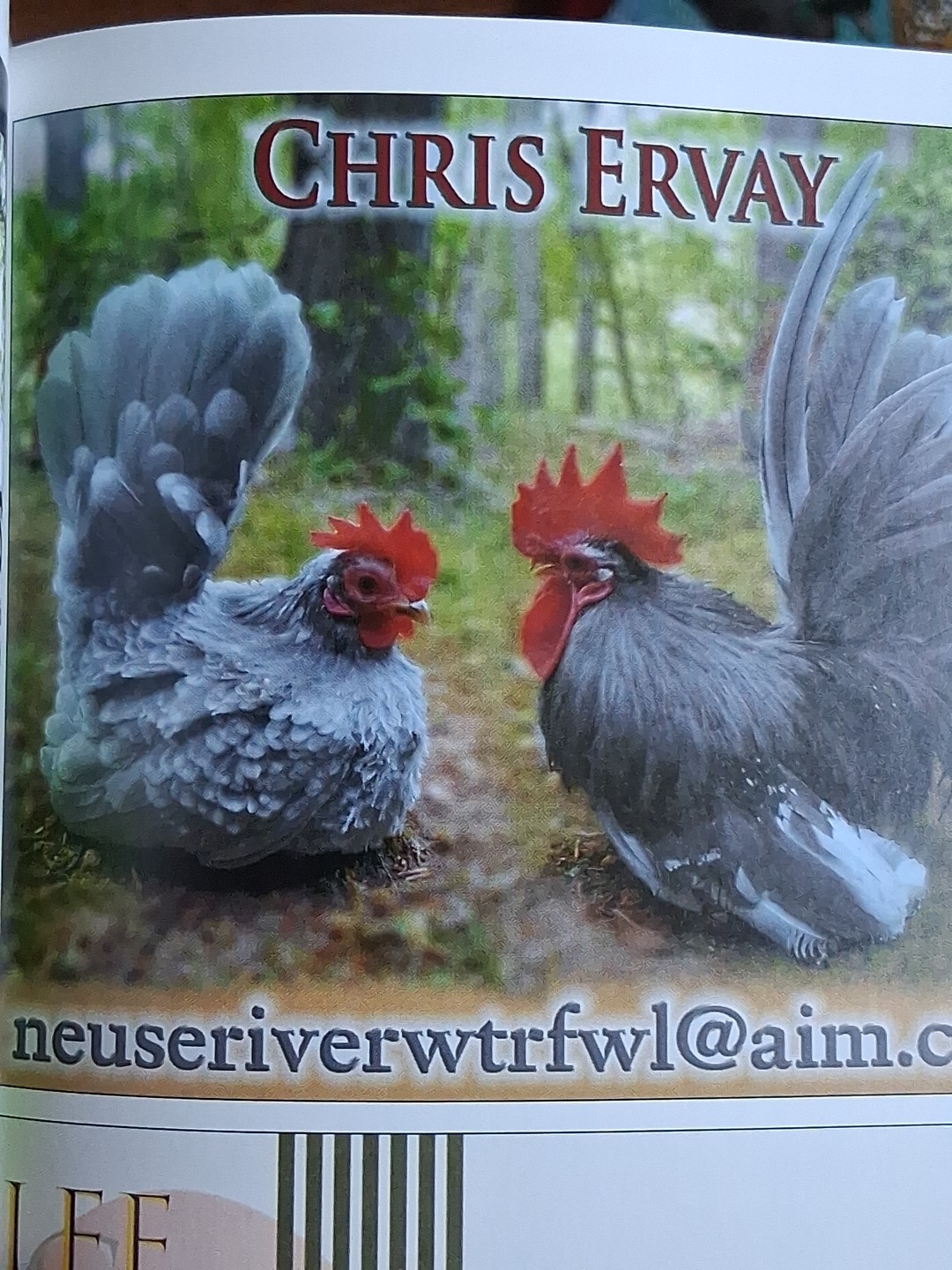 American Bantam Association 2020, 2021 & 2022 Yearbooks. New. ÷