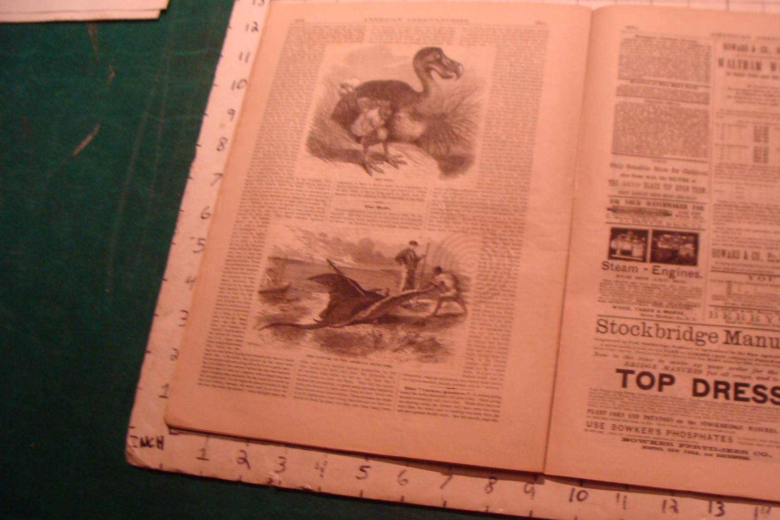 Vintage American Agriculturist 1879 May; great DOGS, SHEEP, MACHINES,