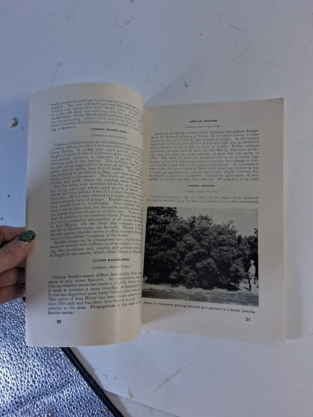 U.S. DEPARTMENT OF AGRICULTURE PAMPHLETS Read Look Plumbing Shrub Freezing Meat