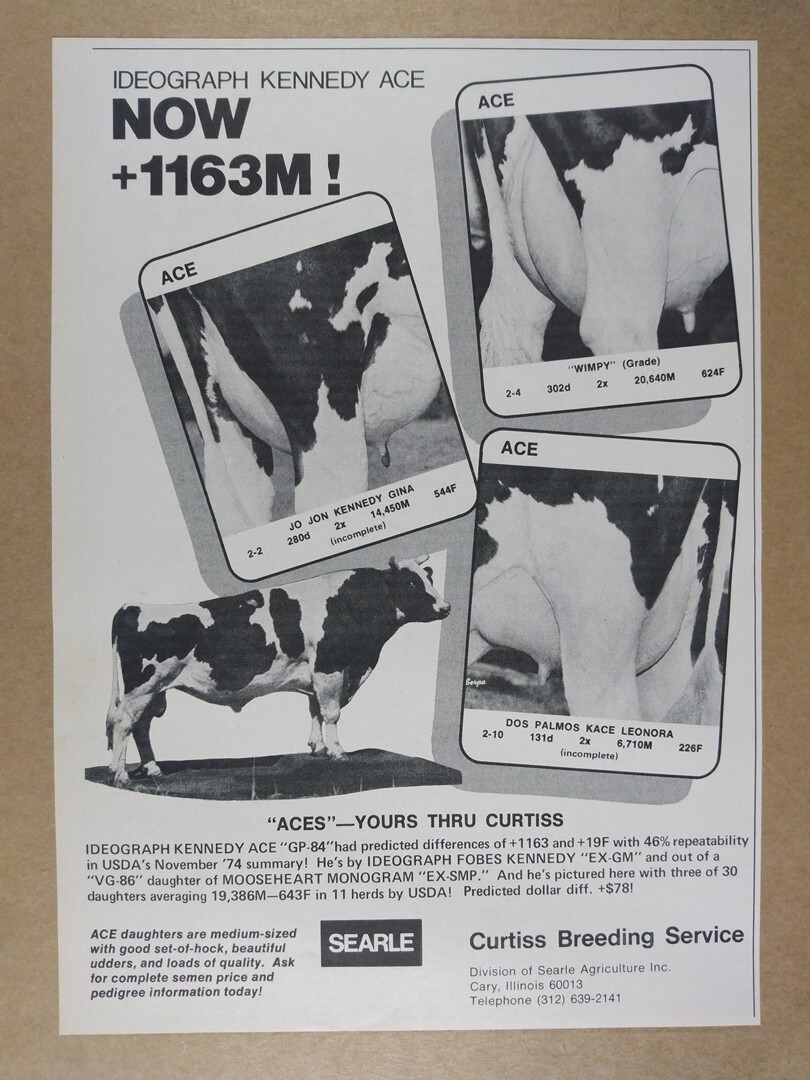 1975 Curtiss Breeding Service Ideograph Kennedy Ace Bull vintage print Ad
