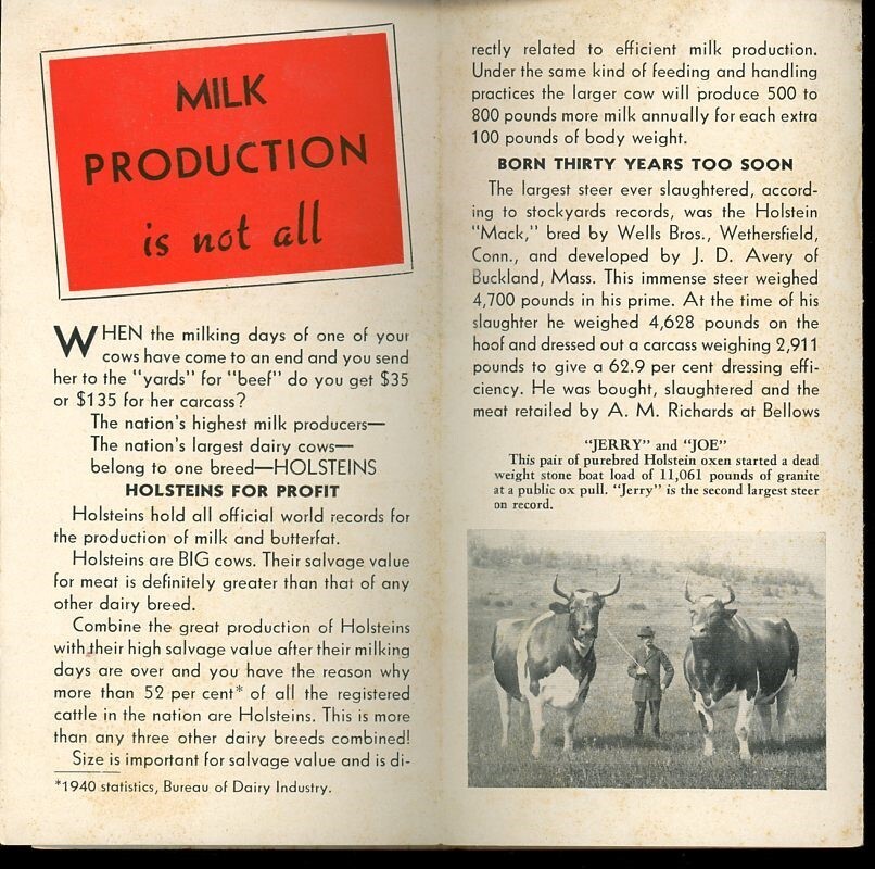 Holstein- Friesian Association of America Born 30 Years to Soon Brochure