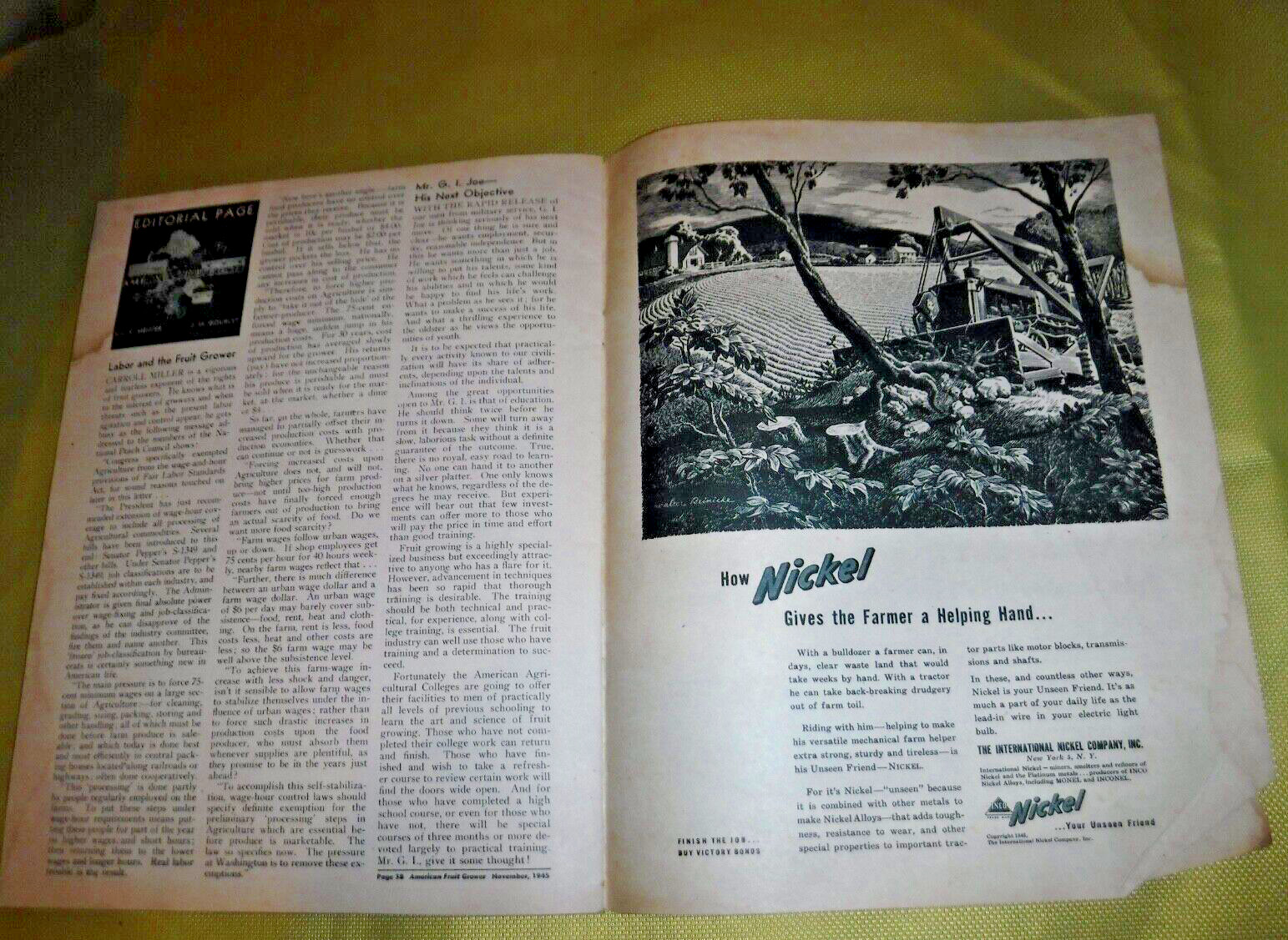 AMERICAN FRUIT GROWER NOV. 1945 MAGAZINE MICHIGAN CULTIVATED BLUEBERRY INDUSTRY