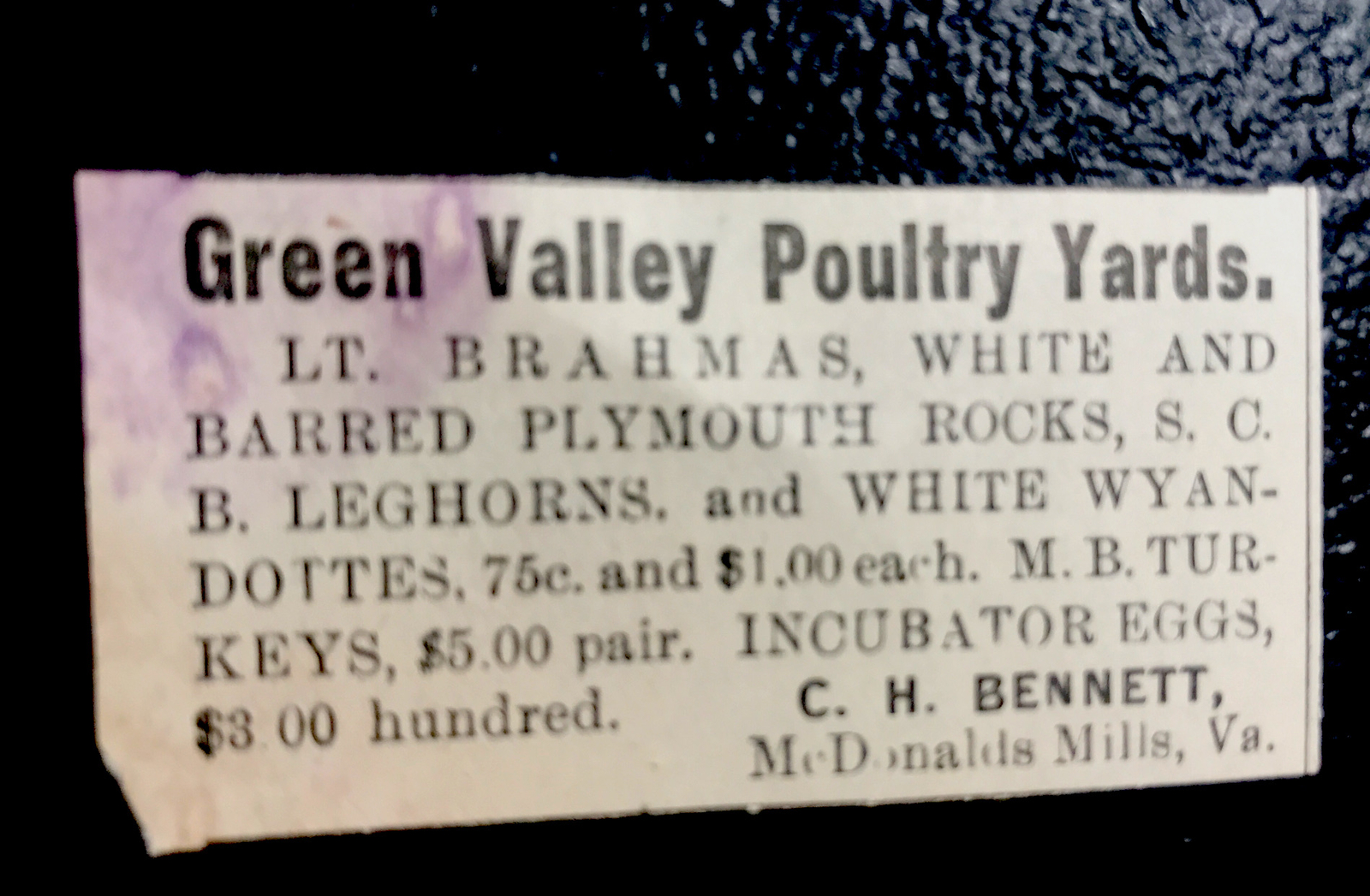 1900 Green Valley Poultry Chicken Farm Advertising – McDonald Mills – Virginia