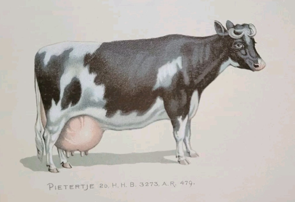 1890 Prize Animals World Records LIthograph Booklet & Perry Davis Quack Remedy