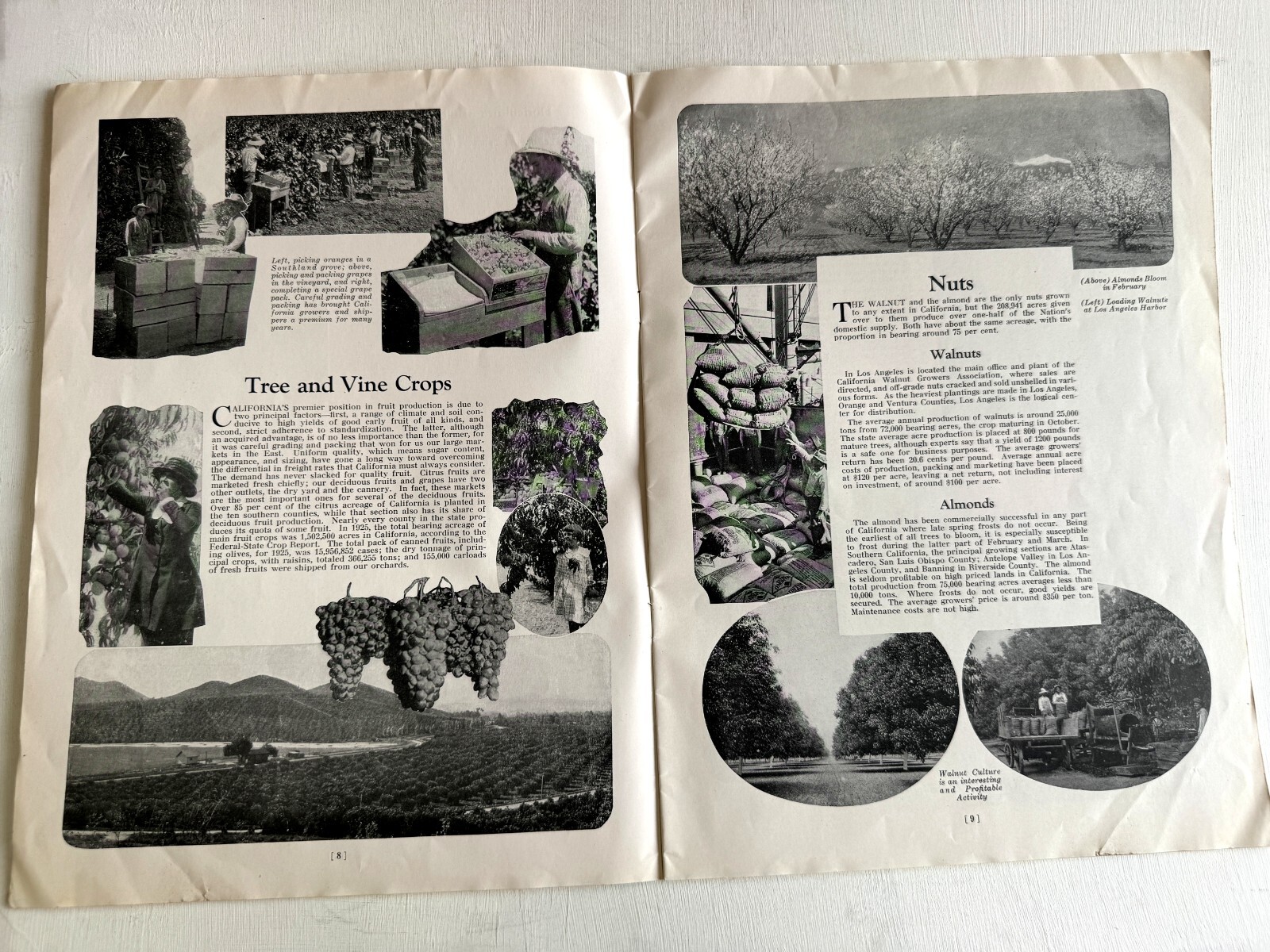 1927 Booklet- Los Angeles the Center of an Agricultural Empire