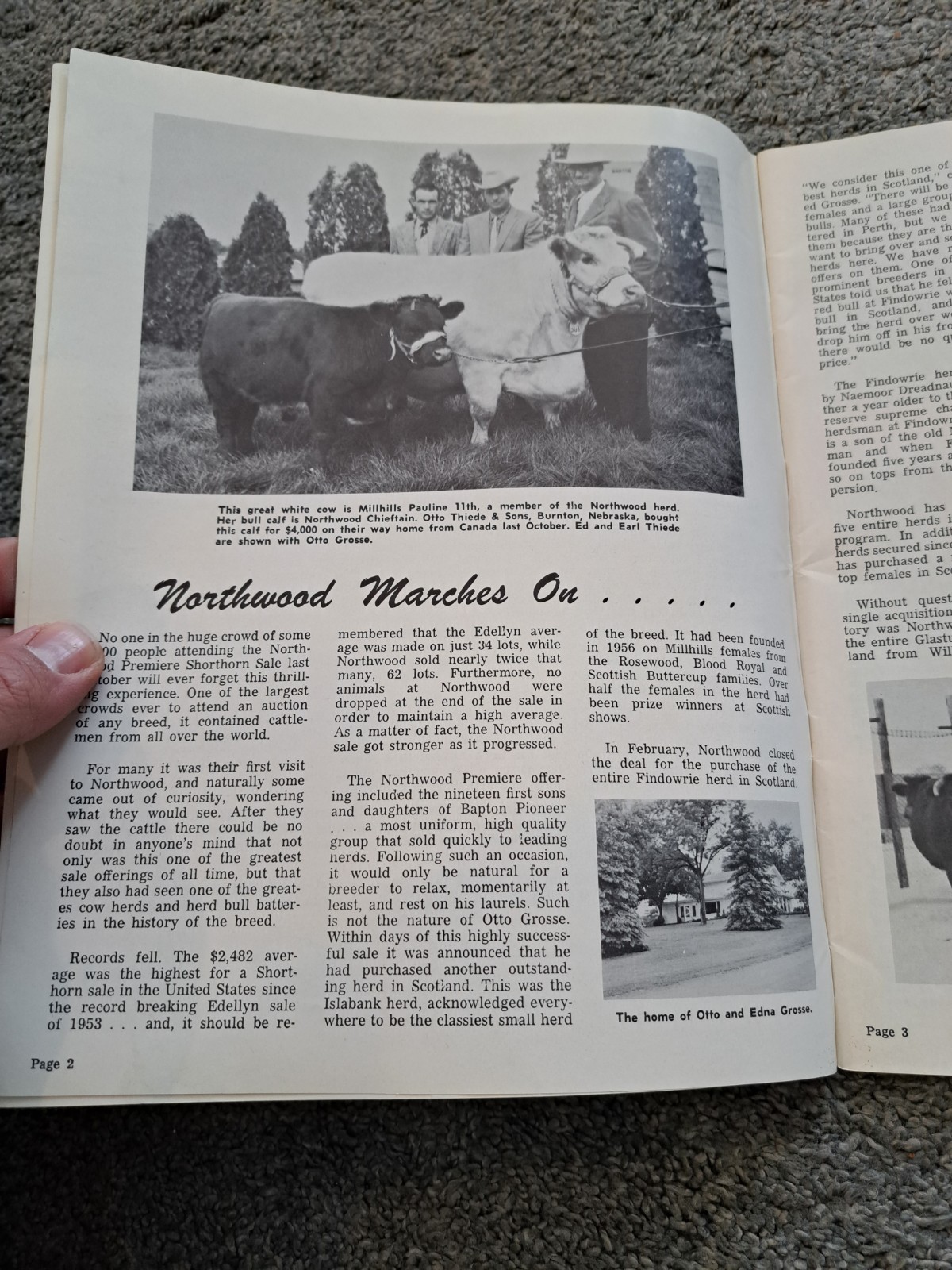 Northwood Spring Shorthorn Sale 1962 Cary Illinois Cattle
