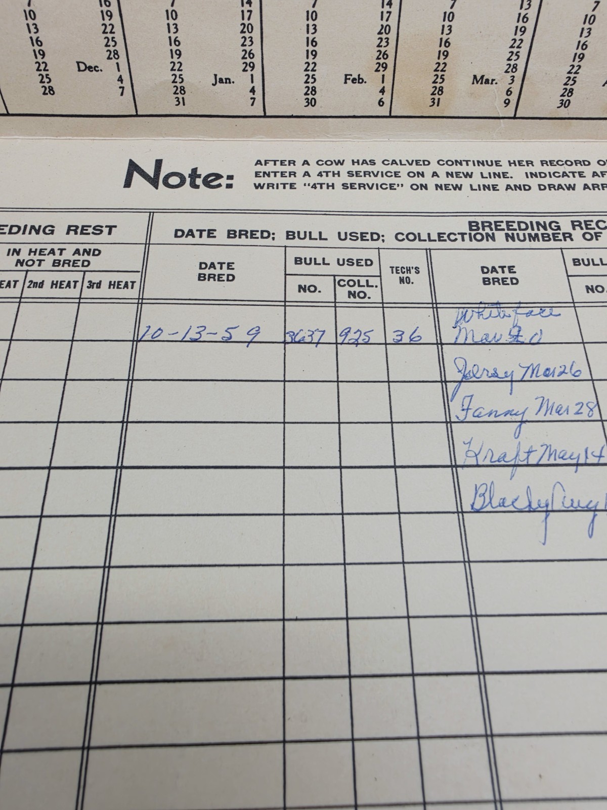 Rare 1957 American Breeders Service Folder Cow Breeding Schedule Advert Filled