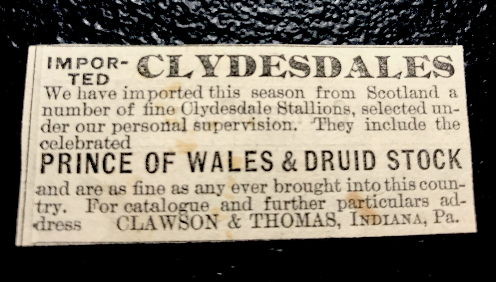 1886 Clawson & Thomas Clydesdale Horse Farm Advertising Indiana – Pennsylvania