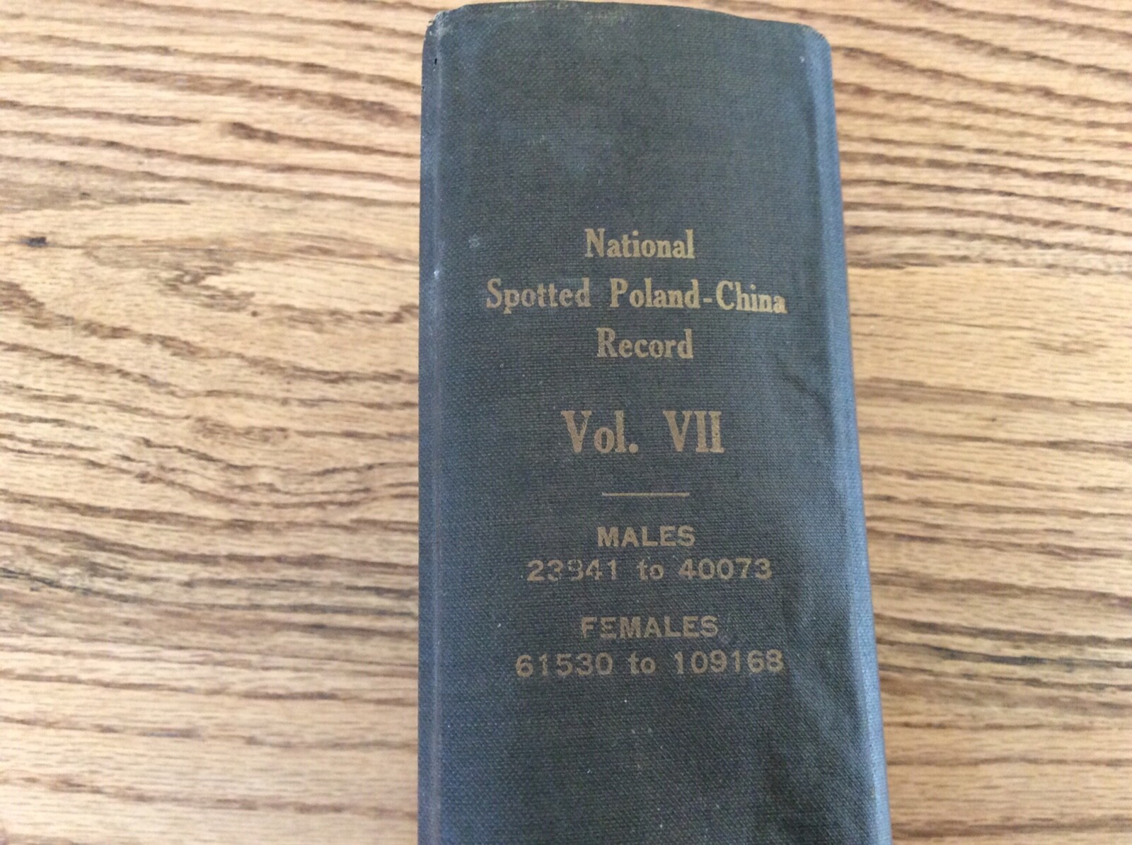 1920 National Spotted Poland-China Record Book #7 Pig Black Swine FAMILY INSIDE?