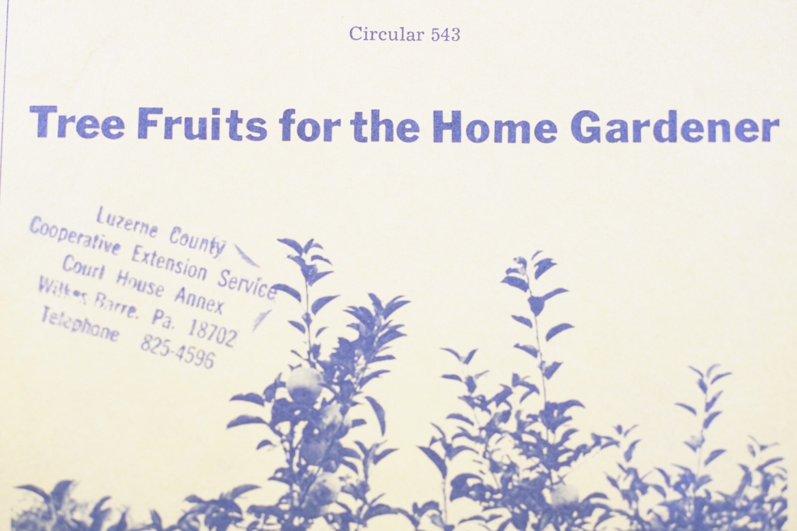 PA State University Tree Fruits for Home Gardener Circular 543 Vintage Brochure