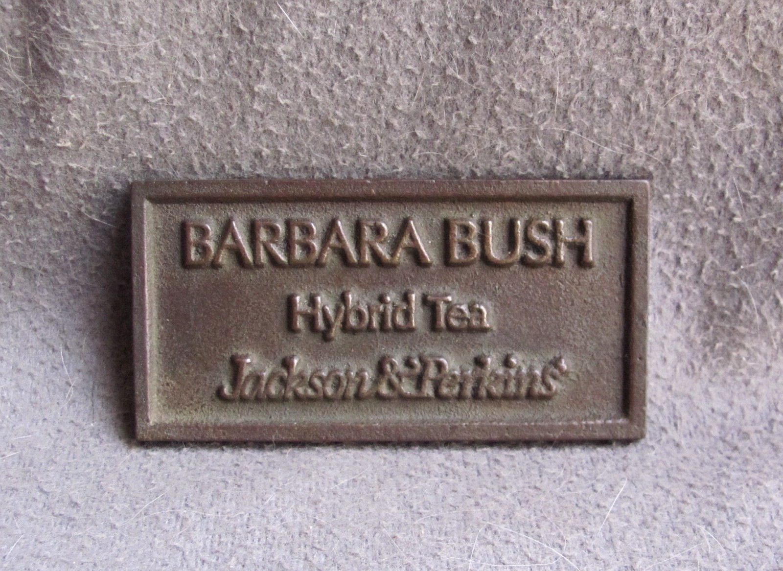 Vintage Bronze Advertising Garden Sign Jackson & Perkins Barbara Bush Rose