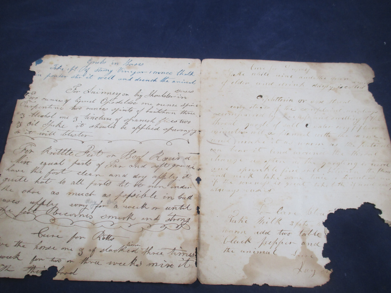 FARMING HISTORY – SALE of CALF – FARM TIPS DOCUMENT – “1888 “ BILL OF SALE