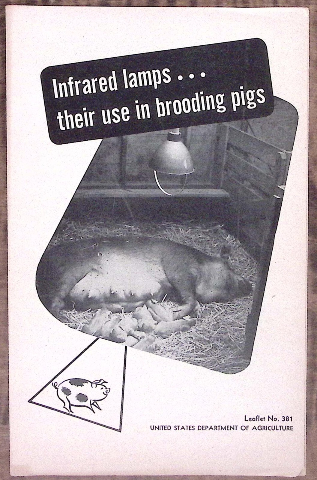 1954 US DEPT OF AGRICULTURE INFRARED LAMPS…THEIR USE IN BROODING PIGS Z6370