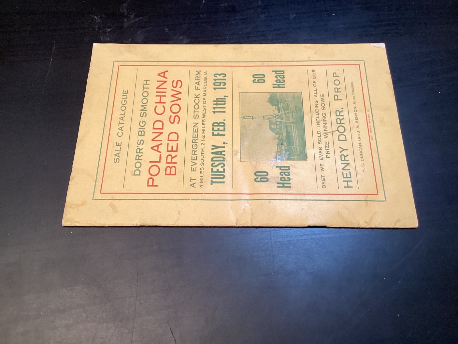 1913 Poland China Sows Sale Catalogue, Henry Dorr, Marcus IA