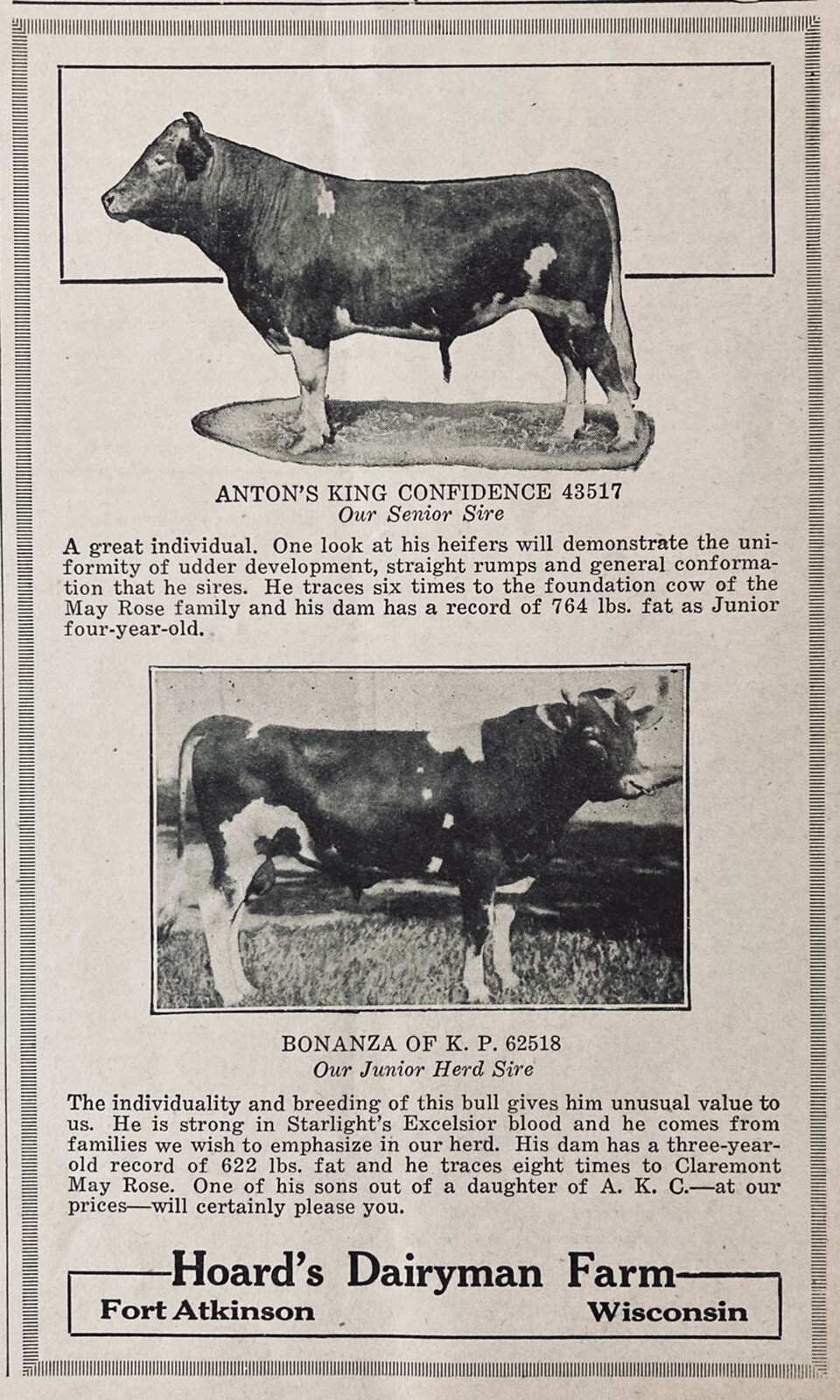 1923 AD.(XH22)~HOARD’S DAIRYMAN FARM, FT. ATKINSON, WIS. CHAMPION SIRE’S