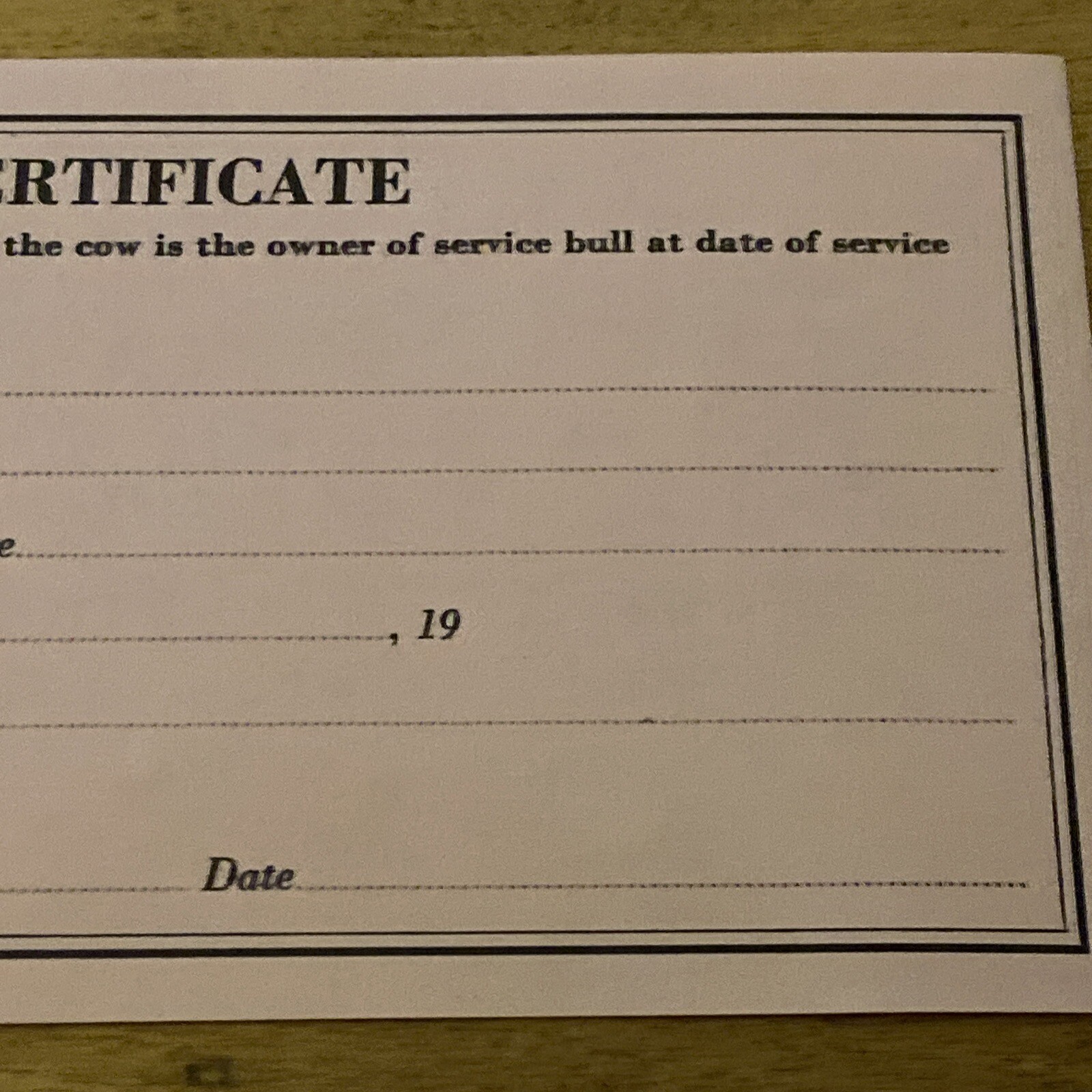 The American Guernsey Cattle Club (Peterborough, NH) Certificate Of Service