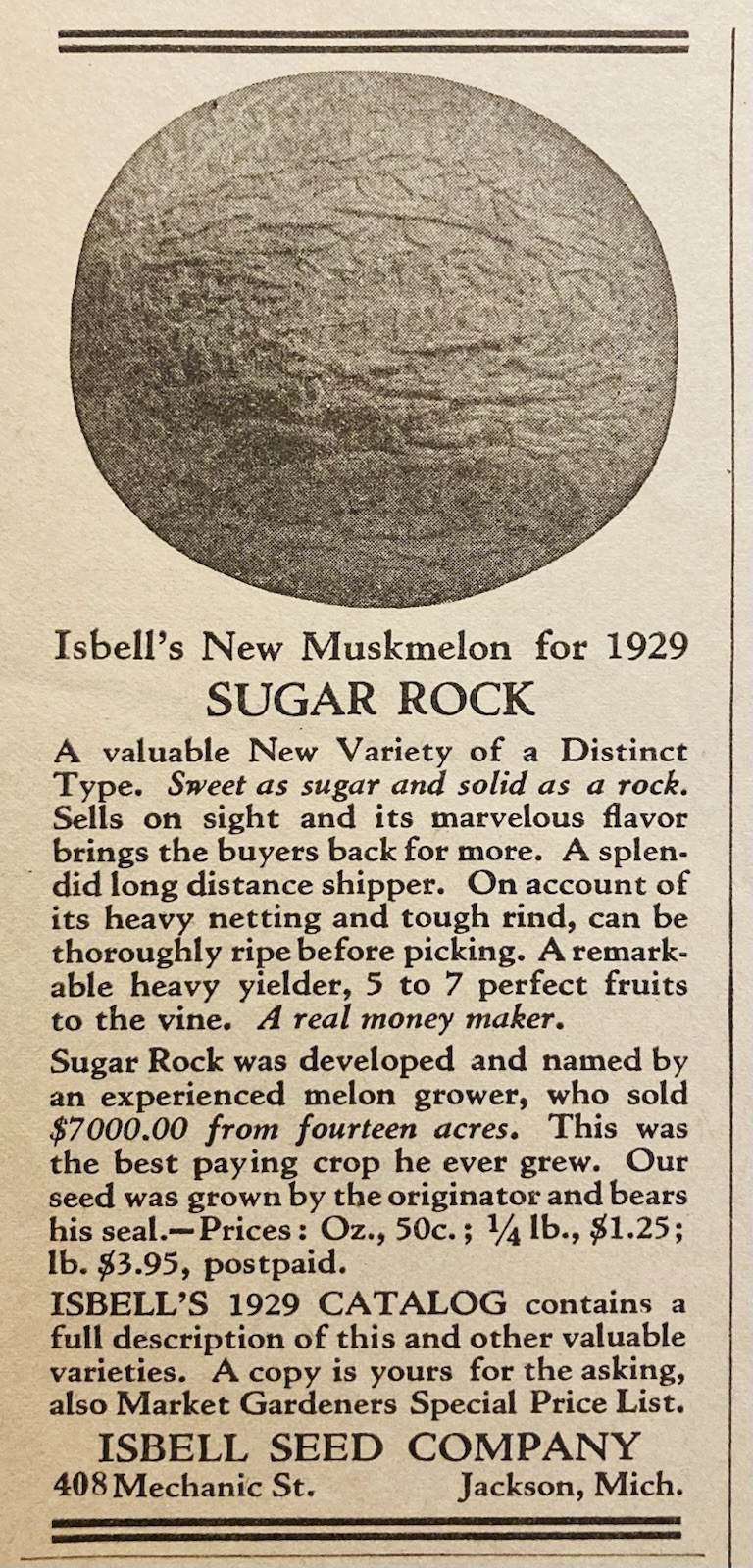 1929 AD.(XH87)~ISBELL SEED CO. JACKSON, MI. ISBELL’S NEW MUSKMELON FRUIT