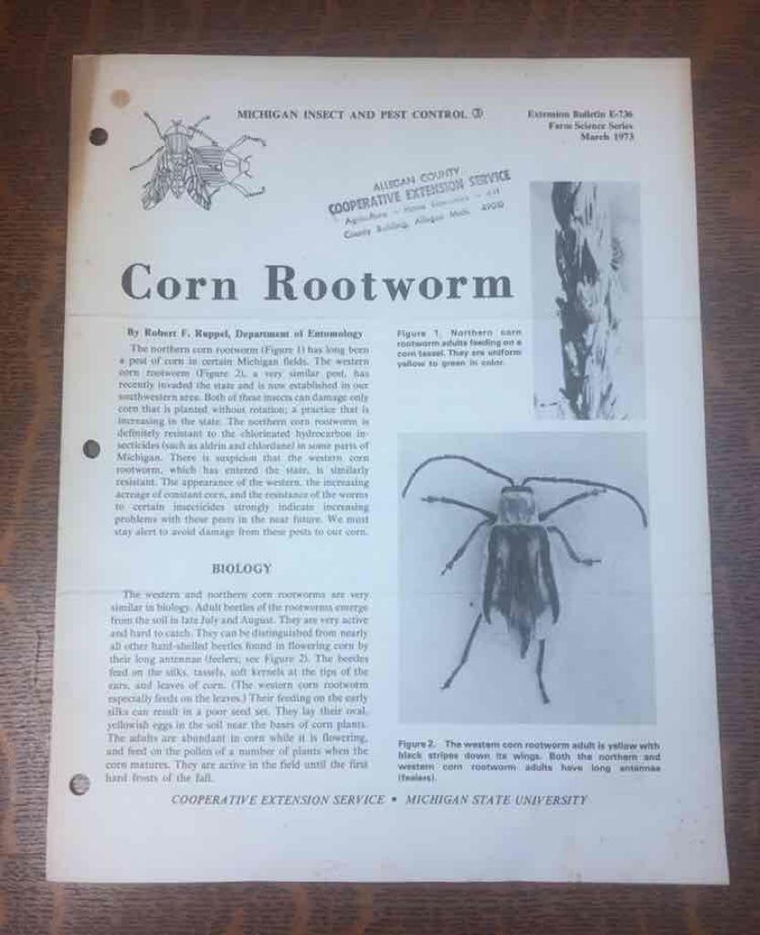 Vintage 1973 Corn Rootworm MSU Extension Service Insect & Pest Control 4 pg bklt