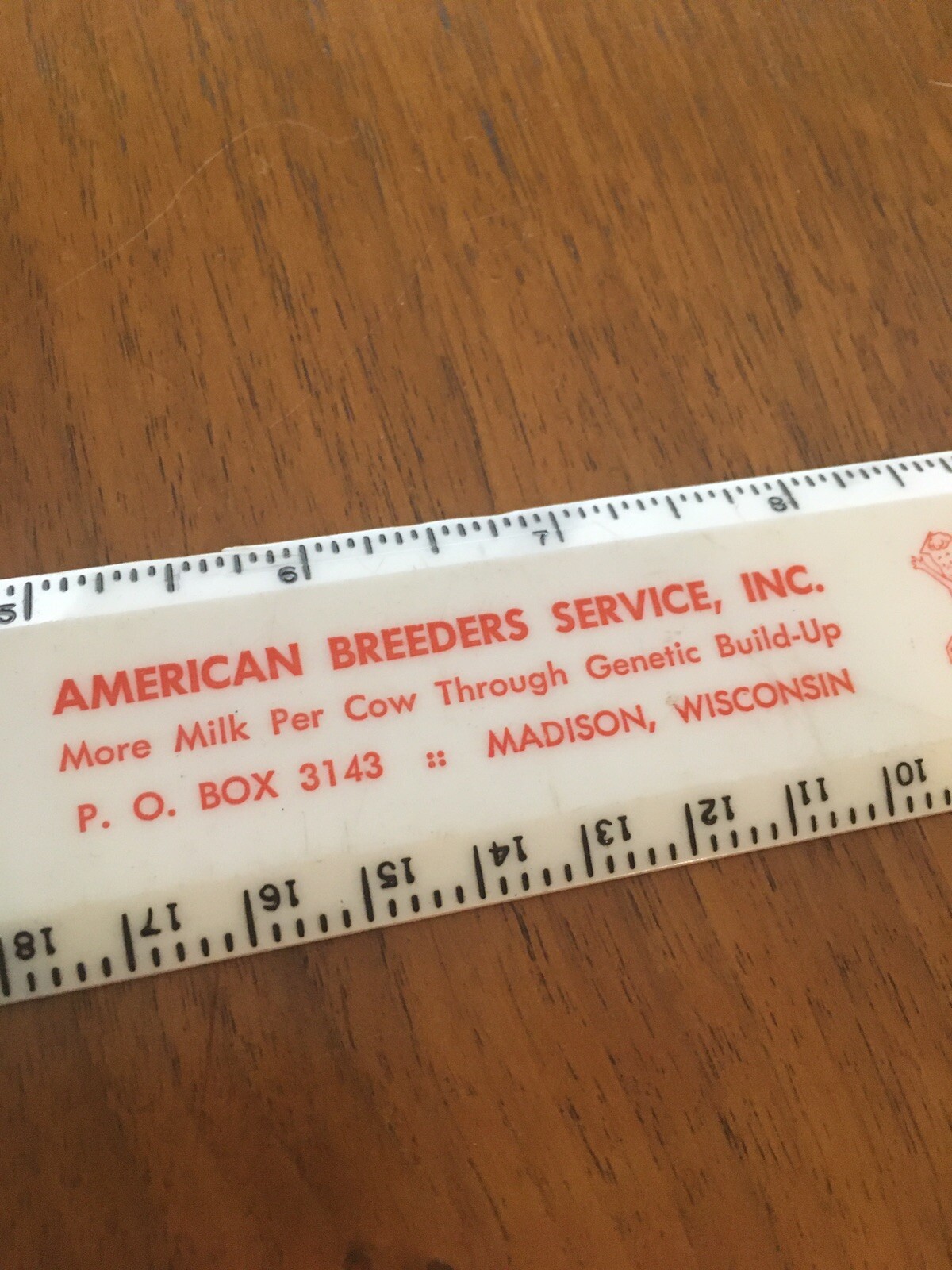 Vintage ABS american Breeders Service Ruler Rules Office Supply