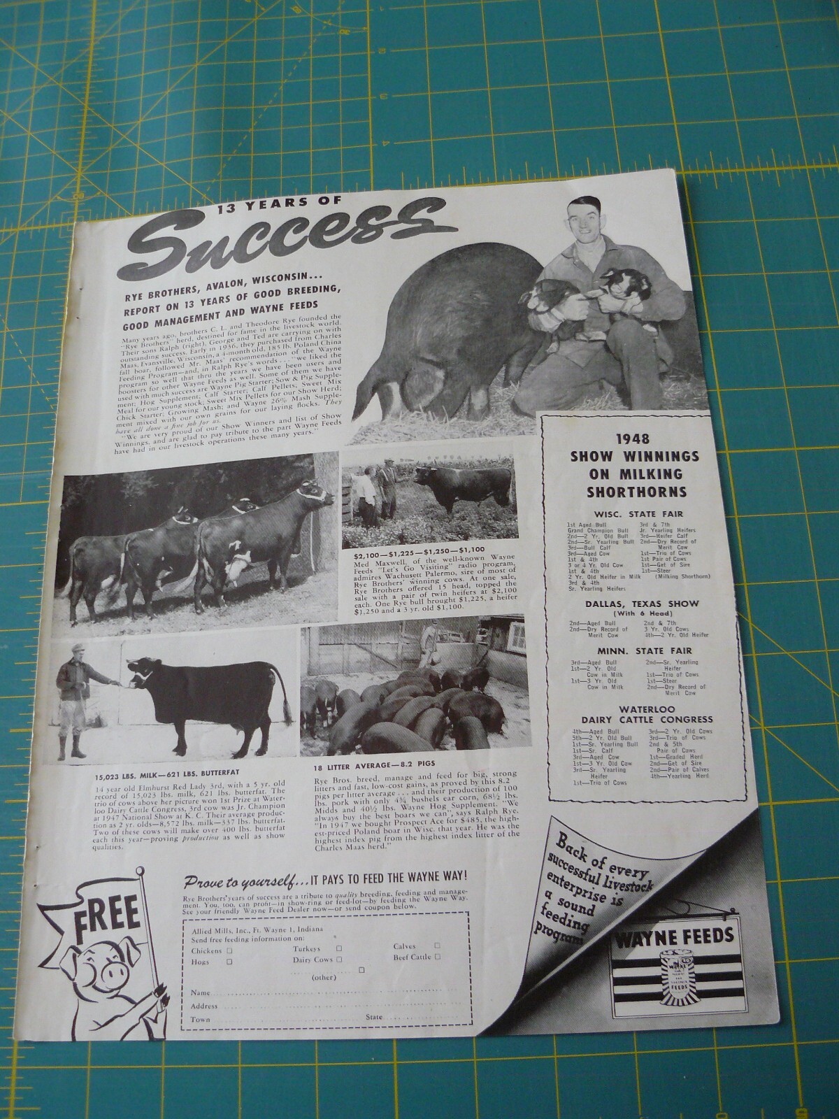 THE FARM QRTLY- Aug 1949 -ad-WAYNE FEED- COWS & HOGS- YRS OF SUCCESS/ Wayne, IND
