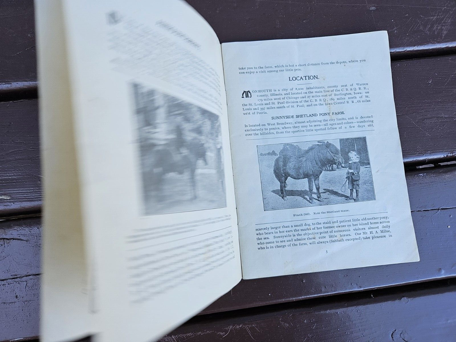 Sunny Side Shetland Pony Farm Catalog & Brochures Monmouth ILL. 1902 +
